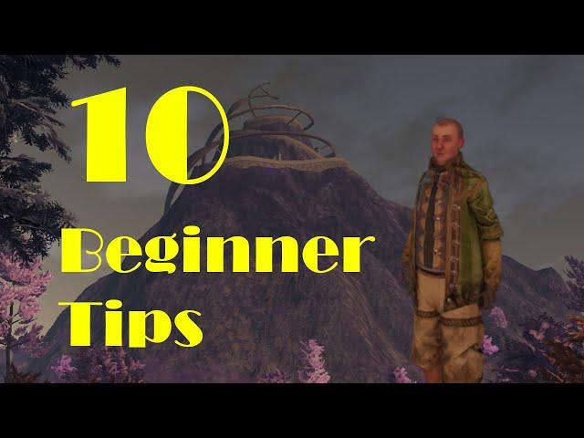 10 Beginner Tips to Start Out! - Outward Definitive Edition