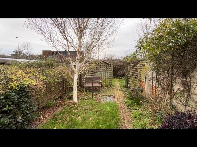 Epic Tidy up of Homeowners Back Yard (Sadly Tree had to Go!)