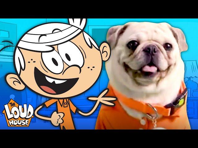 The Pugs & Louds Team Up for an Opening Theme Song  | The Loud House