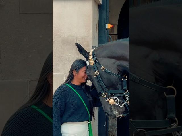 HORSE DISPLAYS HEAD TO HEAD AFFECTION?  | Horse Guards, Royal guard, Kings Guard, Horse, London