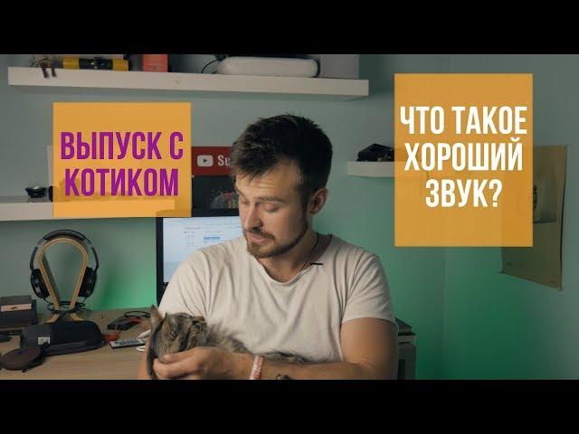 Что такое хороший звук? Рассуждаю о звуке со своим котом 