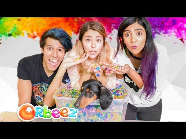 HIDDEN IN ORBEEZ CHALLENGE | POLINESIO CHALLENGE LOS POLINESIOS