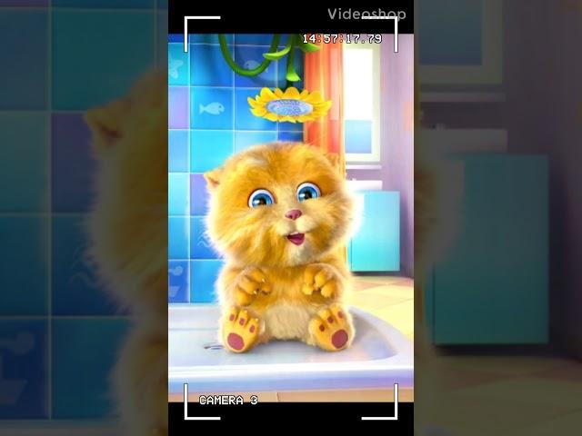 VideoShop Talking Tom