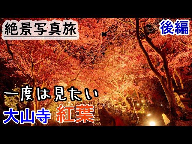 神奈川紅葉ランク2位大山の紅葉絶景を撮る旅②～阿夫利神社・大山寺夜～ vlog Japan awesome autumn leaves spot.