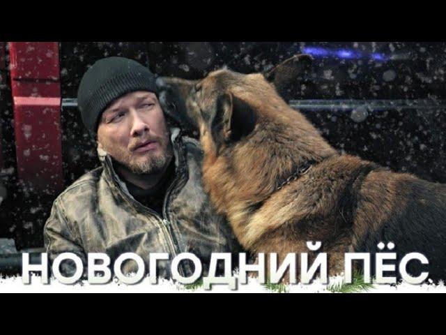 Новогодний пёс ( 2 серия )