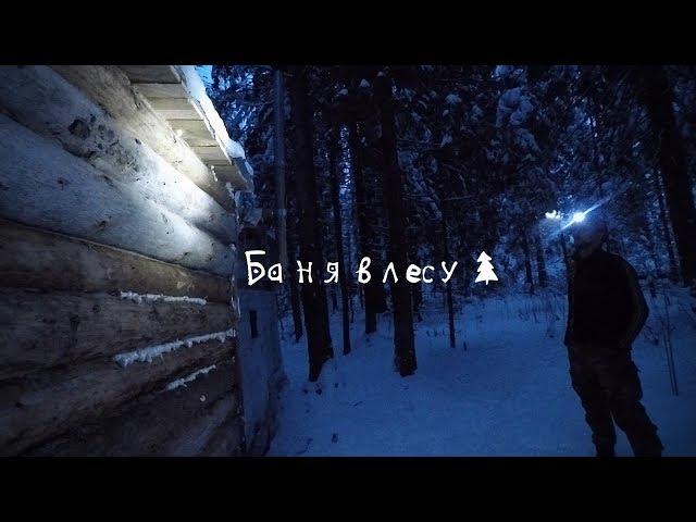 Баня в лесу | Sauna in the woods