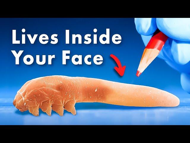 Everything You Didn't Know About Organisms Living Inside You