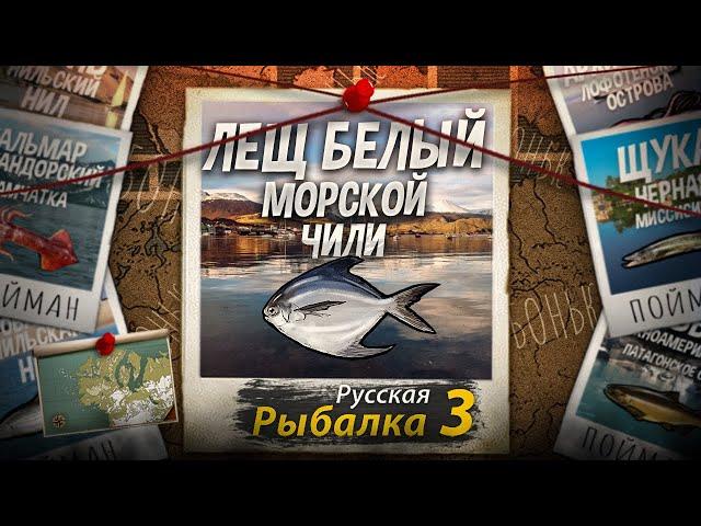 "Мутант" Лещ Морской Белый. Побережье Чили. Русская Рыбалка 3.