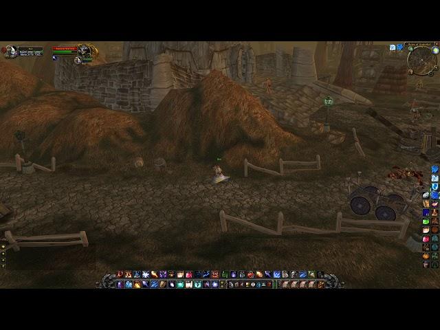 Araj's Scarab WoW Classic Quest