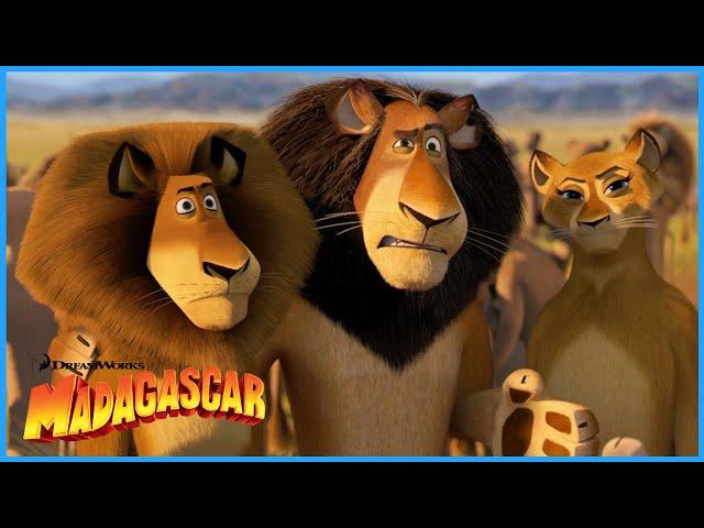 Alex Meets his Family | DreamWorks Madagascar