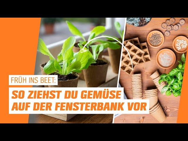 Anzucht auf der Fensterbank I OBI I Früh ins Beet – Folge 1