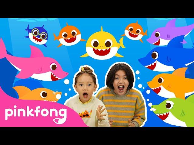 (ENG) Baby Shark More and More｜Baby Shark｜Bimbo Squalo | Pinkfong! Canzoni per Bambini