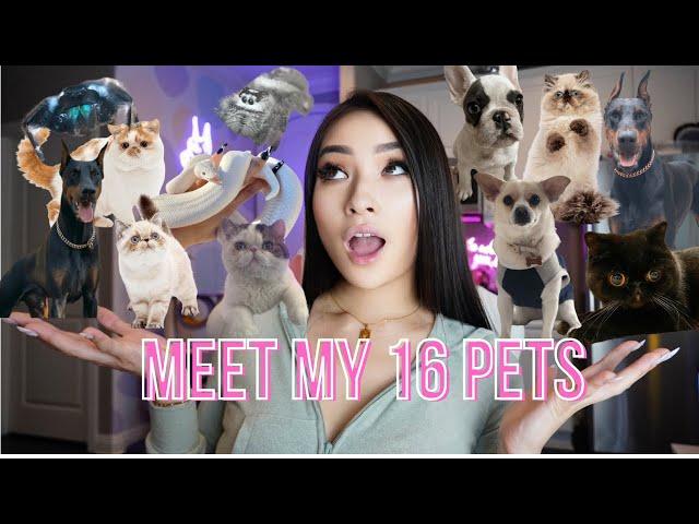 MEET ALL MY PETS! l DOBERMANS, SPIDERS ETC