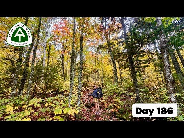 Day 186 - more gorgeous fall color!  | AT thru hike 2024