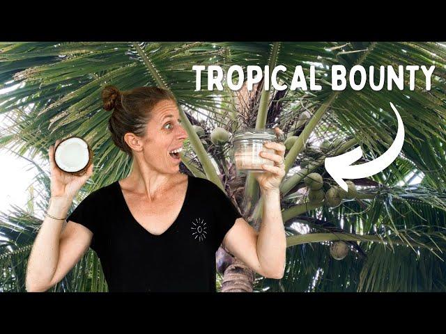 From Tree to Table: Making Coconut Oil From Scratch | OFF-GRID Remote Island Living