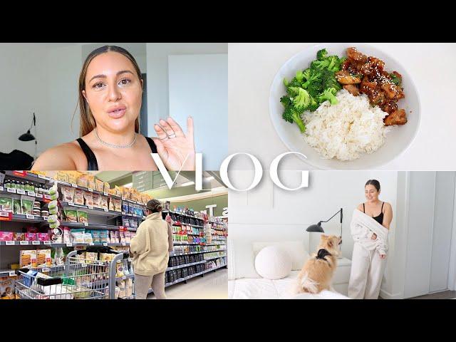 VLOG - Grocery Shop With Me, Honey Garlic Chicken Recipe & Everyday Solo Living