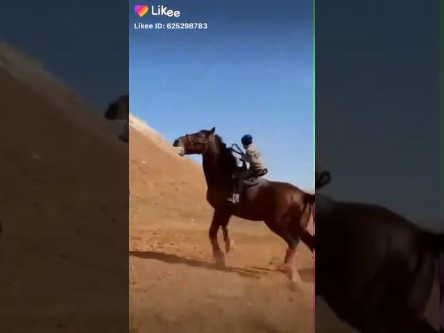 Еркак