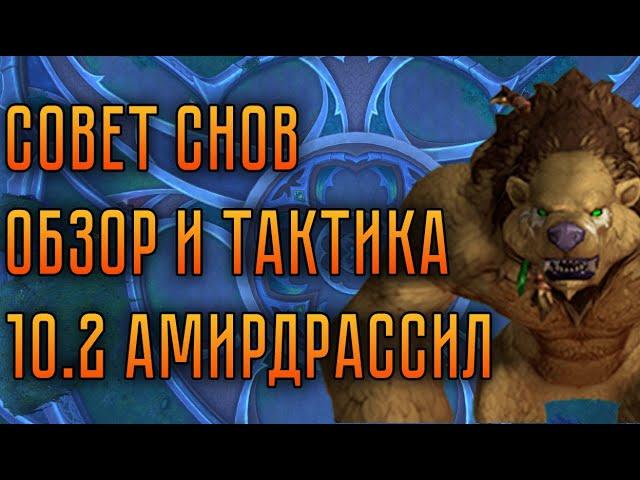Совет Снов – Обзор и Тактика – Амирдрассил 10.2