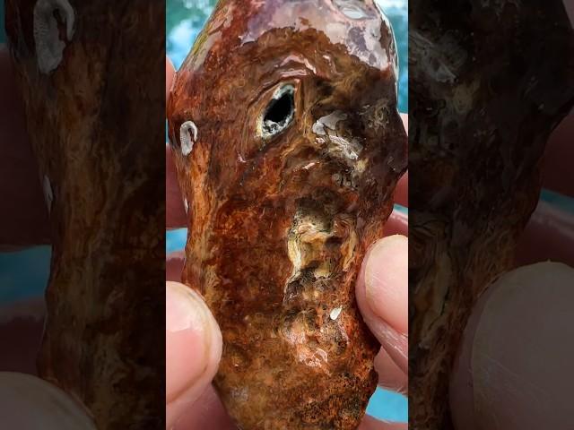 How to clean Ancient Coral Geode’s 🪸 #crystals #rocks #geology #gems #rockhounding #fossils