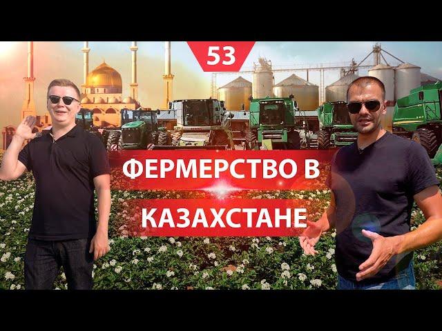 Сельское хозяйство в Казахстане. Что выращивают, поддержка государства и климат