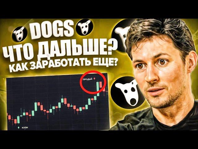 DOGS - 6 СПОСОБОВ КАК ЕЩЕ ЗАРАБОТАТЬ! / ЧТО ДЕЛАТЬ ДАЛЬШЕ?