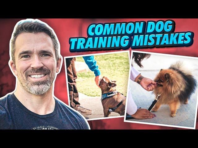 Avoid These Common Dog Training Mistakes (with Nate Schoemer)