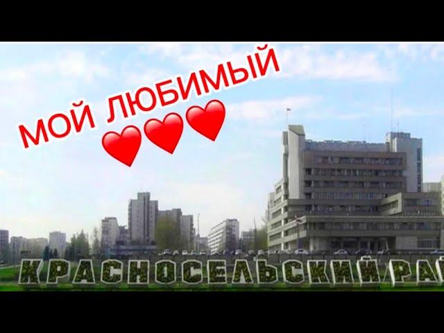 Красносельский район СПБ обзор