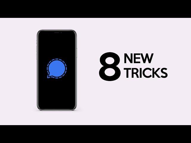 How to Use Signal App: Top 8 Tips to Get Started