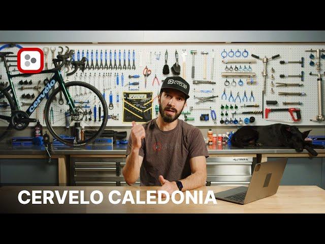 The Best Road Bikes Of 2022 | Cervelo Caledonia