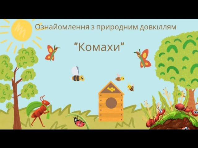 Ознайомлення з природним довкіллям "Комахи"