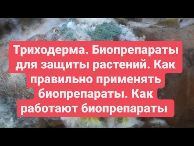 Биопрепараты ПРИМЕНЕНИЕ для защиты растений от болезней Триходерма