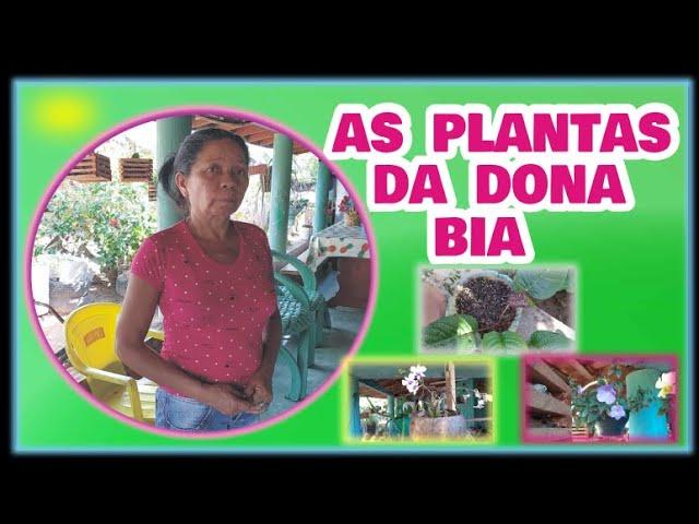 AS PLANTAS DA DONA BIA | O poder de transformar