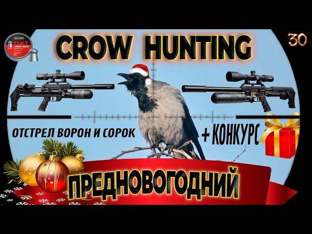 Предновогодняя Охота на Ворону с FX Impact M3/ №30. AIR GUN HUNTING 2023. Кроухантинг. Jack Hunter.