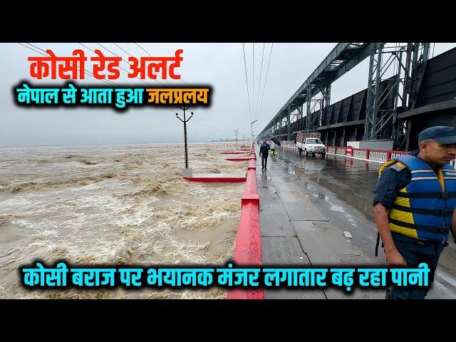 Kosi Barrage पर Nepal से आ रहा जलप्रलय | लगातार बढ़ रहा है Waterflow लोग कह रहे क्या होगा पता नहीं