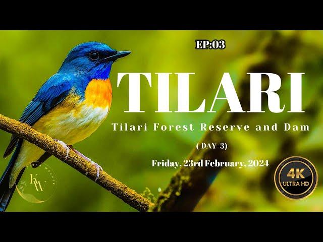 EP03 A Breathtaking Journey to Tilari Forest Reserve and Dam 1