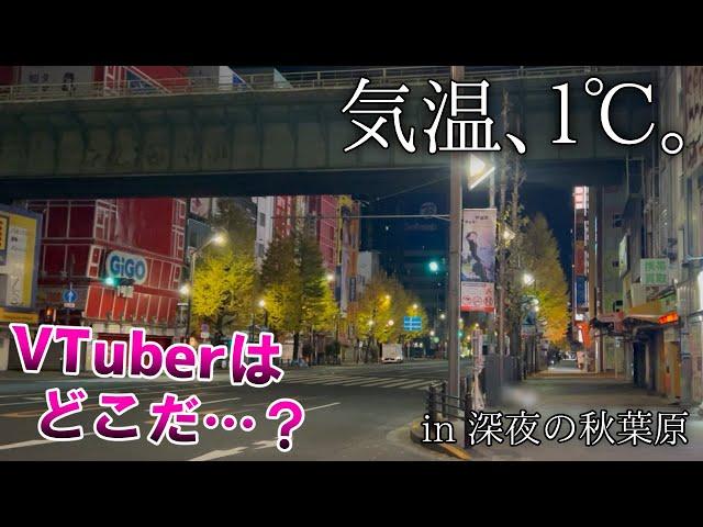 深夜の秋葉原にVTuberを求めて徘徊する動画