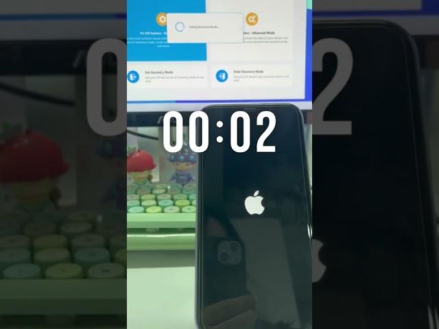 iPhone Stuck on Recovery Mode? 1-Click to Exit - iToolab FixGo