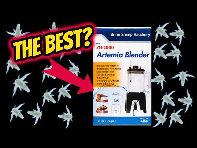 THE BEST BRINE SHRIMP HATCHERY?  Ziss Brine Shrimp Hatchery unboxing, set up, review and more