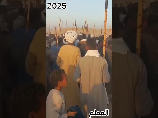 الحلال يغني صعيدي