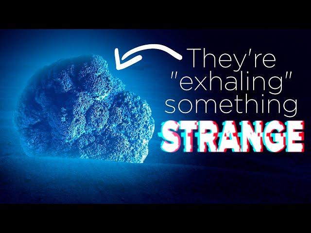 These Deep Sea Rocks SEEM to Be "Breathing"