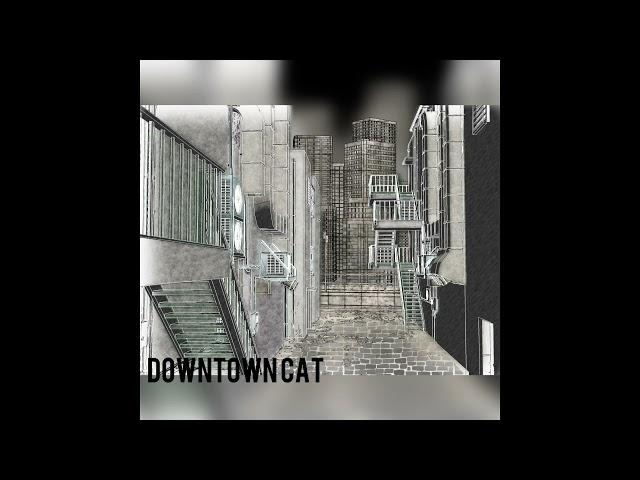 Lio Andromeda リオ アンドロメダ-Downtown Cat ダウンタウンキャット