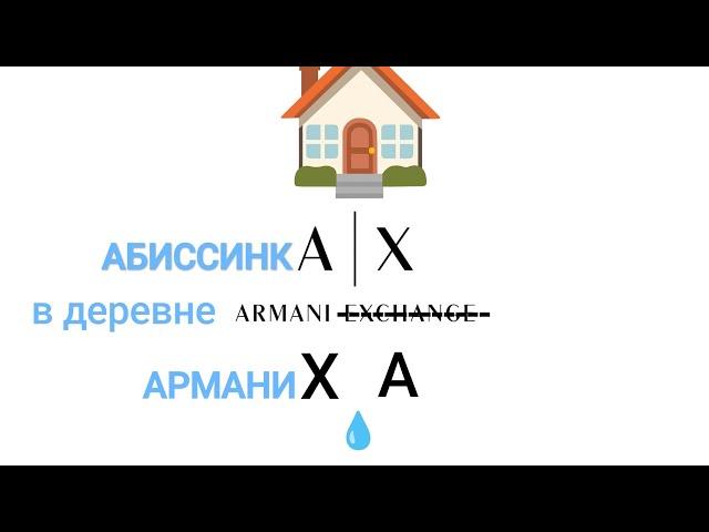 АБИССИНКА-РАЗВЕДКА С ОЧЕНЬ МАЛЫМ ДЕБИТОМ#абиссинскаяскважина #свояскважина52 #абиссинскийколодец