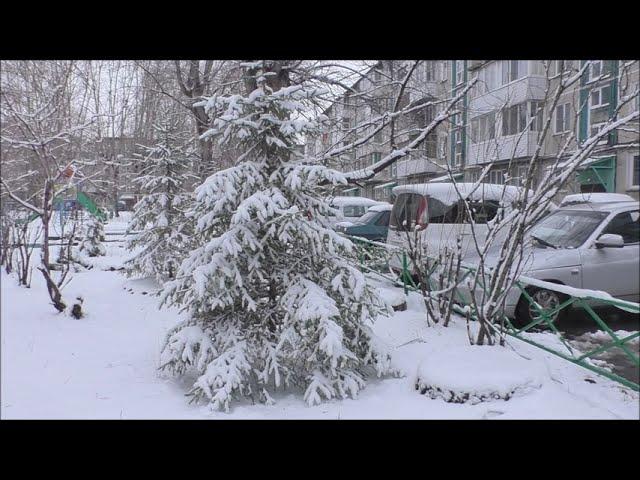 Зима вернулась  г Ачинск  20 04 24г  Автор видео Елена Цыганова