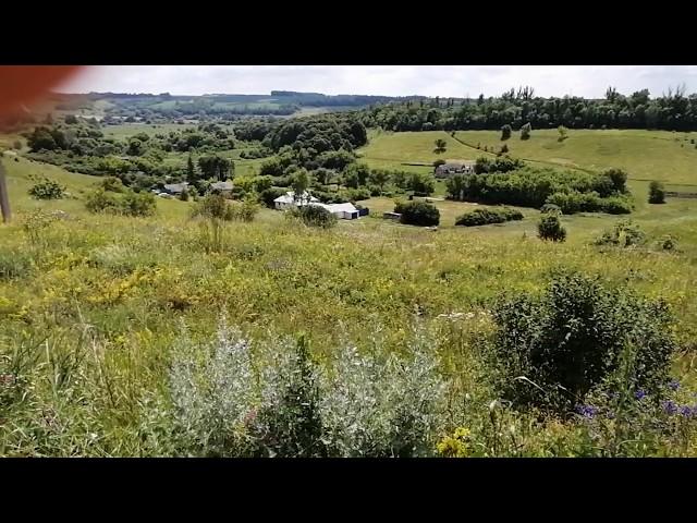 Разнотравье и медоносы Белгородской области