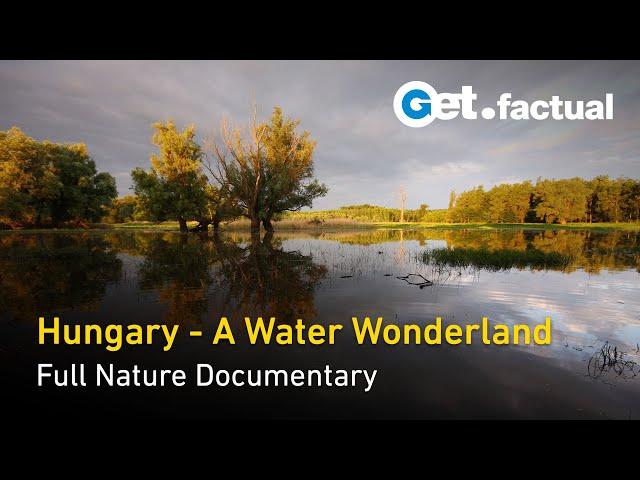 Wild Hungary - A Water Wonderland - Full Nature Documentary