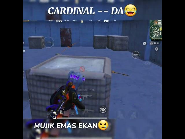 CARDINALNI YOPOLMADM #pubgmobile #cardinalpubg #cardinal #pubg #pubgvideos #pubgtiktok #lifehack