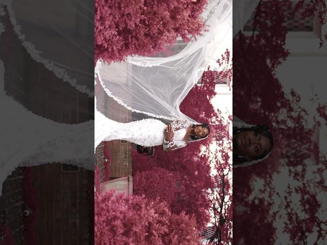 That warm embrace. #colorgrade #luts #weddingdress #weddingvideo