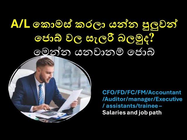 Accounting & Finance Salaries in Sri Lanka 2024: Complete Guide