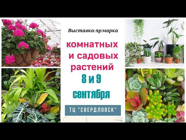 Выставка комнатных и садовых растений 8-9 сентября, г. Екатеринбург