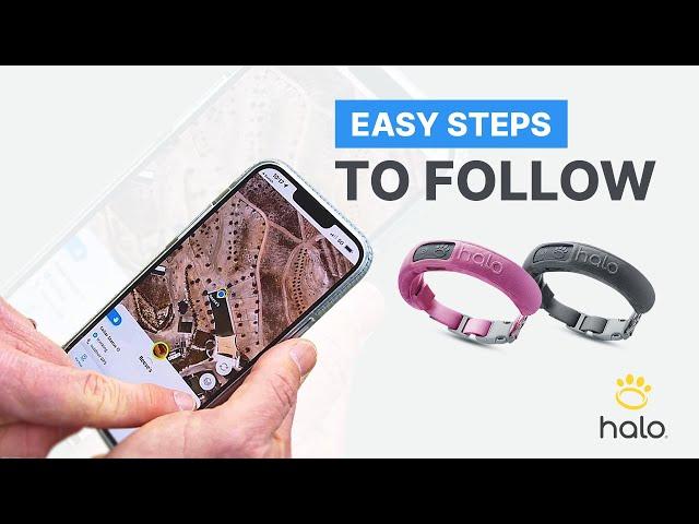 HALO GPS DOG COLLAR: HOW TO SETUP A VIRTUAL FENCE ON YOUR HALO COLLAR APP